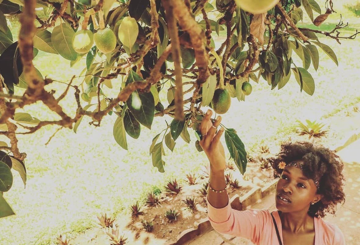 Mariam reaching toward fruit beneath a tree canopy in warm light